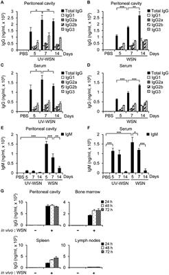 Peritoneal Cells Mediate Immune Responses and Cross-Protection Against Influenza A Virus